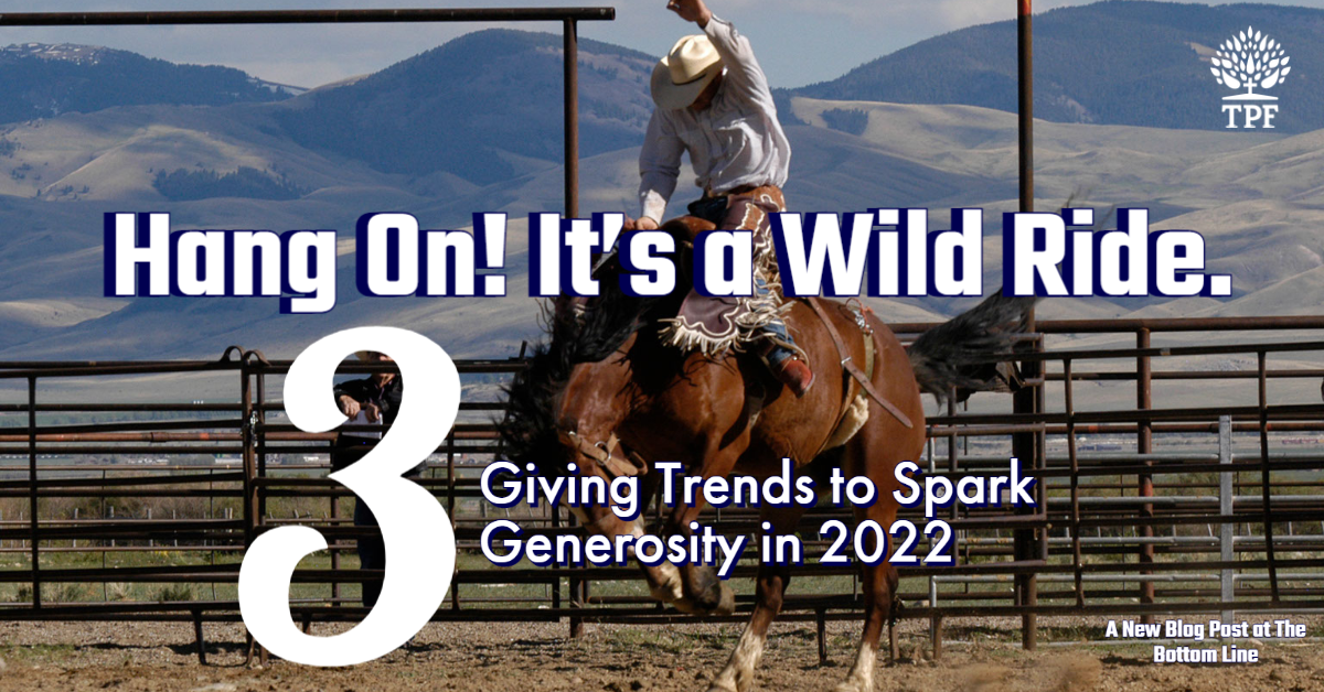 Wild Ride Blog Post 2